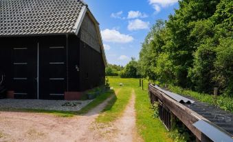Cottage in Dwingelderveld with Scenic Views