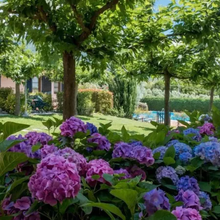 Agriturismo la Torricella