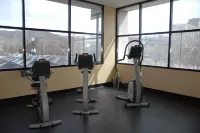 鹽湖城中心麗笙酒店 - 健身室/gym room