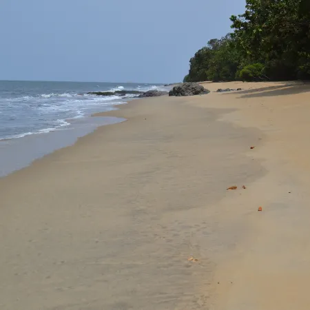 Hotel Tara Plage
