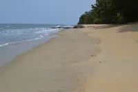 Hotel Tara Plage - Beach