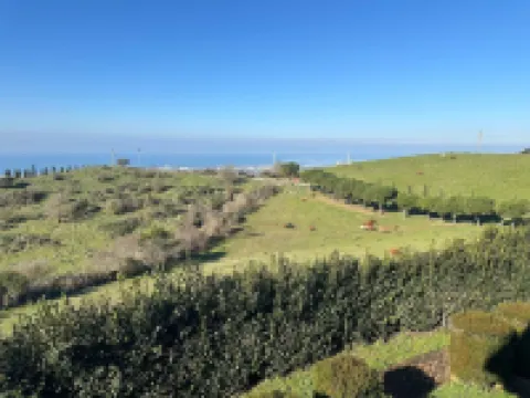 Tenuta dell'Argento