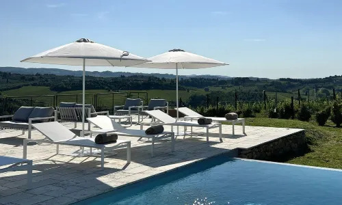 Laqua Vineyard