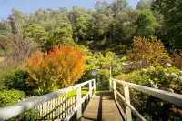 Spetts Cottage Hotels in Walhalla