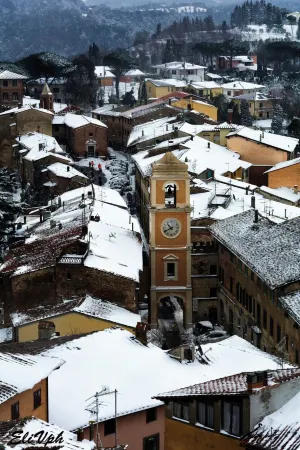 Apartment/ flat - Palaia