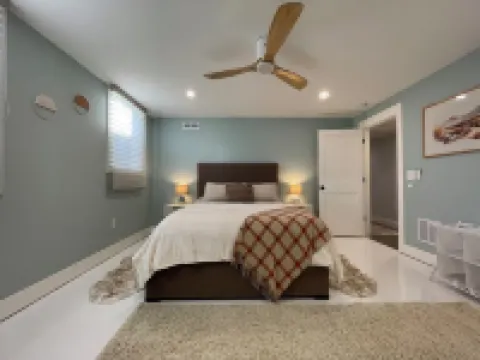 The Meadows of White Mountain