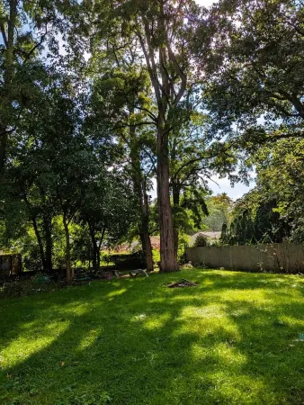 A cozy little house along Trail Creek awaits you.  Relax. Unwind.  Enjoy.