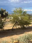 Pueblo Haus - The Beauty of the Desert Awaits You