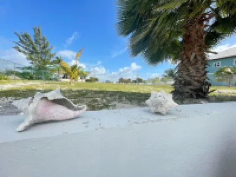 Boaters Waterfront Paradise. Dock included! Now with StarLink Wifi