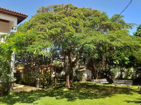 Spacious house to gather family and friends, beach, barbecue, pool and green area Отели рядом с достопримечательностью «Parque Ecológico de Lauro de Freitas»