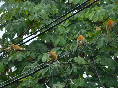 Top Spot with Daily Wildlife Visit & Nature Views