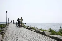 科靈卡海景飯店 - 寵物友善