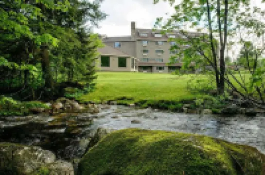 Snowy Owl Inn Hotels in Waterville Valley