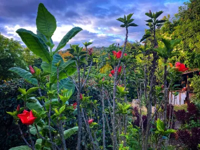 Casa Agrreste Bed & Breakfast Hotel a 