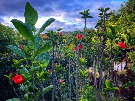 Casa Agrreste Bed & Breakfast Отели в г. Tocancipa