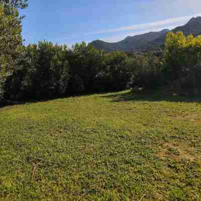 Chambres Isula Bella Hotel Exterior