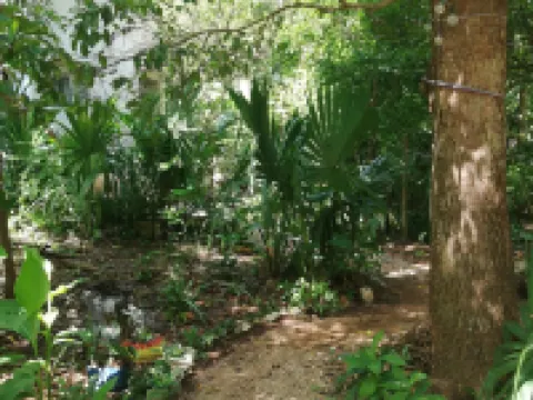 Mayan Bungalow Near Chichén Hotels in Tinum