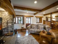 그레이리그 풋 스테이블