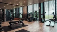 Aviator - Gym