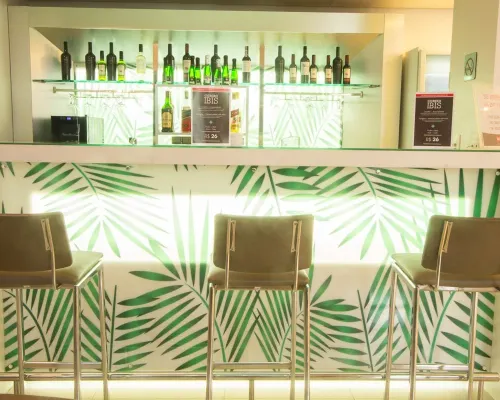 Ibis Presidente Prudente Manoel Goulart Thư giãn & Giải trí Photos