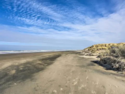 Sanderling Sea Cottages, Unit 2 Walk to Coast! Hotels in Waldport