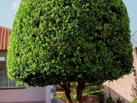 The Residence Inn Hotels in Lilongwe