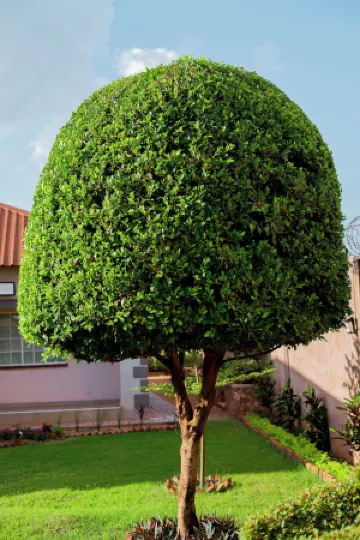 The Residence Inn Отели рядом с достопримечательностью «Парк Хавила»