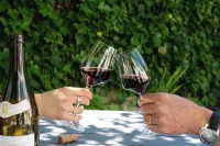 Les Plumes Hotels in Nuits-Saint-Georges