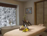 The Khyber Himalayan Resort & Spa - spa