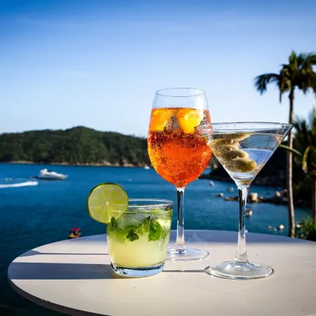 Camino Real Acapulco Diamante