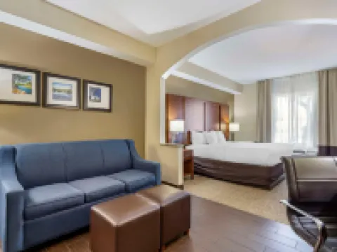 Comfort Inn & Suites Hotels in Seguin