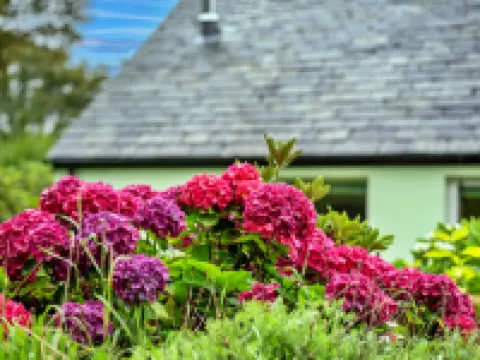 Skylarks Hotels in Boscastle