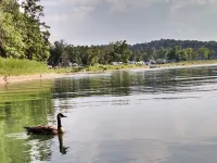 Beaver Lake Rent Cabin  Lg Covered Deck Room~Firepit~Quiet~Private~7Mi Rogers AR