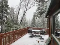 The Cabin Life- Dog Friendly w/3BR+loft & Hot Tub