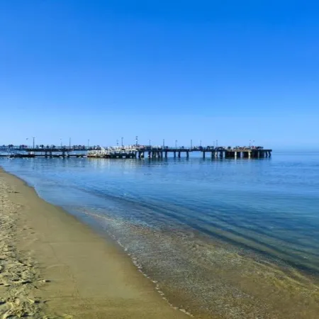 Apartment in Gda sk Near Brze No Pier