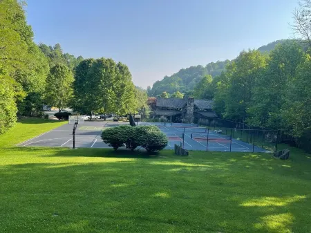Wolf Laurel Cabin Near Big Bald. Hike the Appalachian Trail. Long Range Views.