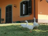 Serene Italian Retreat in Monte Caminetto, Rome Casa Airone Hotels in Sacrofano