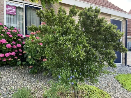 Pet-Friendly Coastal Getaway