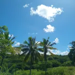 Room-private Villa in Tonge, Fiji
