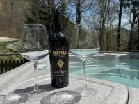 Spacious Newly renovated house with Hot tub, Game Room, Fitness room and more!