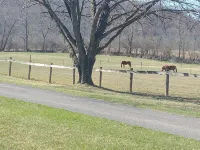 Country home on horse farm. Only 4 miles from Beaver Stadium.