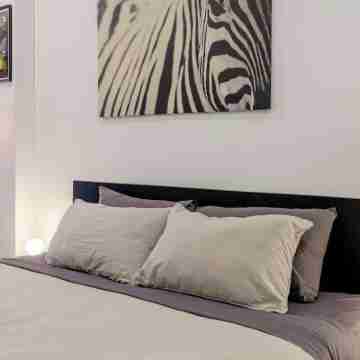 Charming Open-Plan Studio in the Heart of Surry Hills Rooms