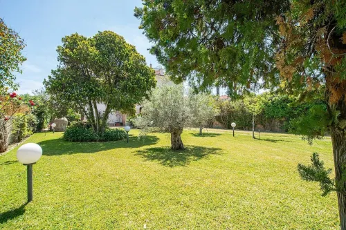 Gorgeous villa with direct descent to the sea