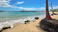 Delfin #1 - Relax & Recharge: Pool, Solar, Walk to the Beach