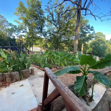 Modern & Peaceful 2BR Retreat-Newly Renovated Gem Just 20 Mins from Spartanburg