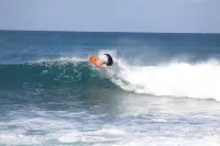 Charming 1 bdr in LAIEPrivate yard and entrance! 5 minute walk to Hukilau beach Hotels in Laie