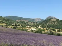 Calme, Verdure et vue sur la Montagne de Lure