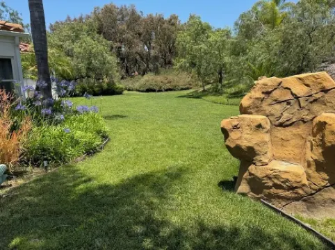 Serene Mini Estate in wonderful Encinitas w/ game room, AC, Sauna, Pool and Spa.