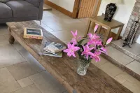 Daisy’s Rest Hotels in Municipal District of Arklow