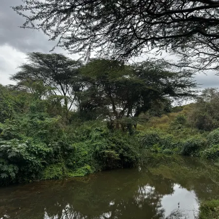 Koki Lodge